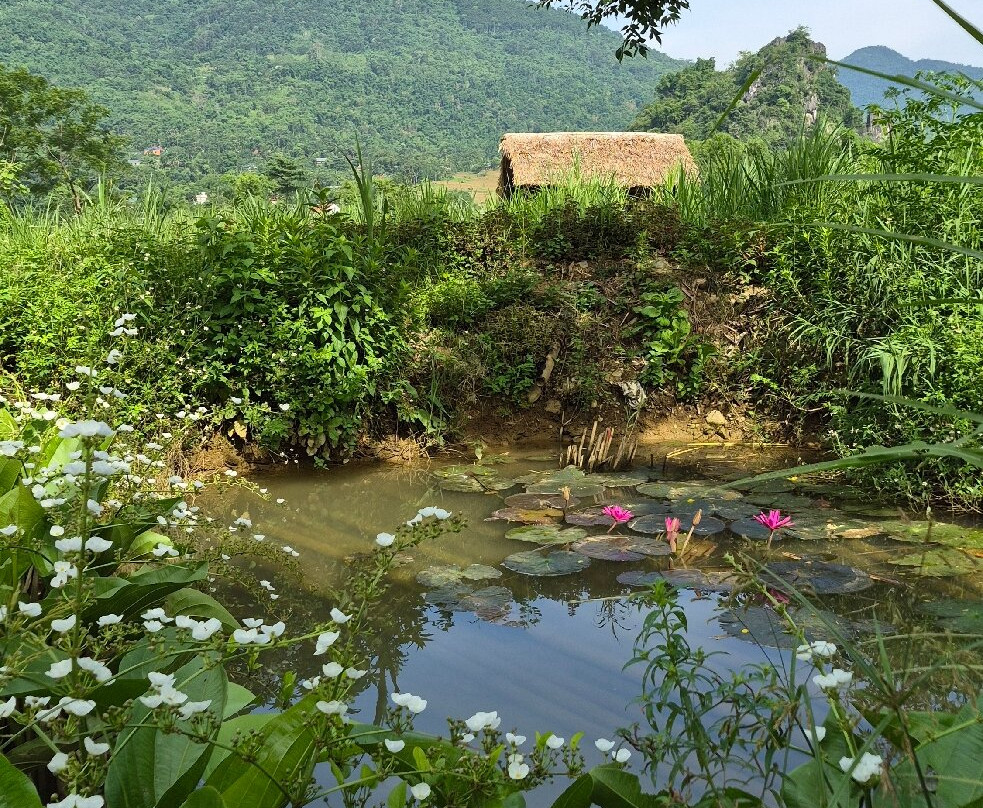 Puluong Giant Waterwheel-清化必去景点