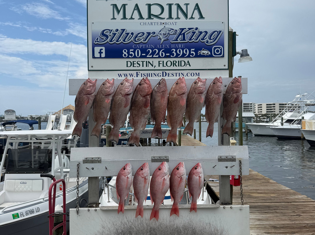 Silver King Charters of Destin-Sandestin必去景点