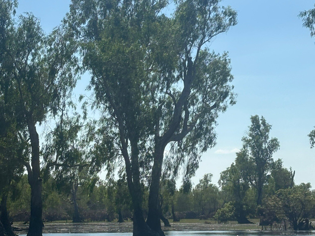 Wildlands Wetlands Safari Cruises-达尔文市必去景点