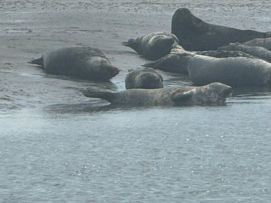 Chichester Harbour Water Tours-West Itchenor必去景点