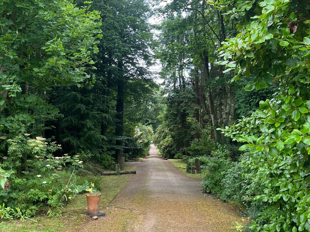 Arbigland House and Gardens-邓弗里斯必去景点