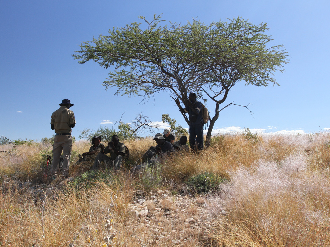 Kunene Elephant Walk-Sesfontein必去景点