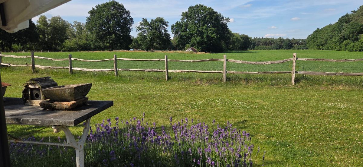 B&B De Paenhoeve-旅行者