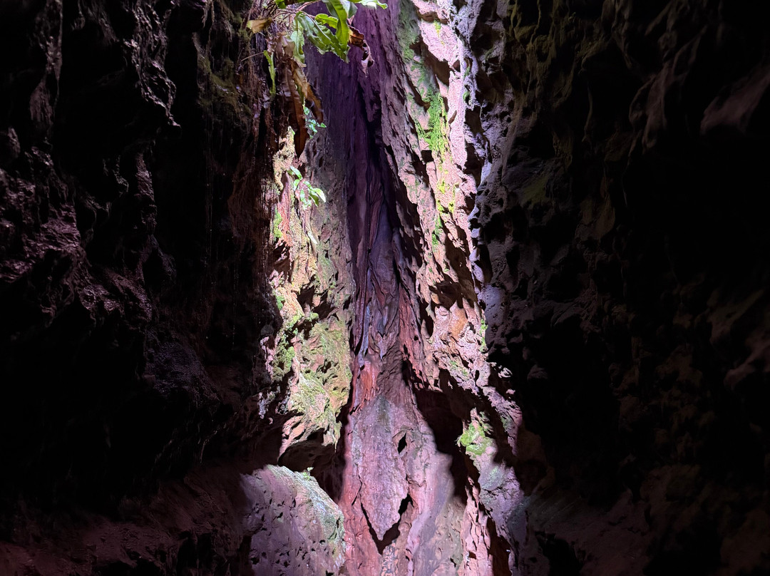 Wookey Hole Caves-Wookey Hole必去景点