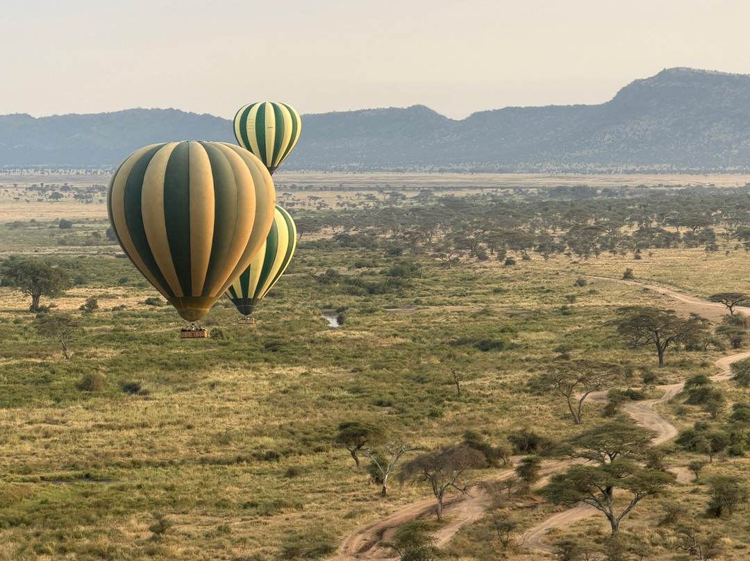 Serengeti Balloon Safaris-塞伦盖蒂国家公园必去景点
