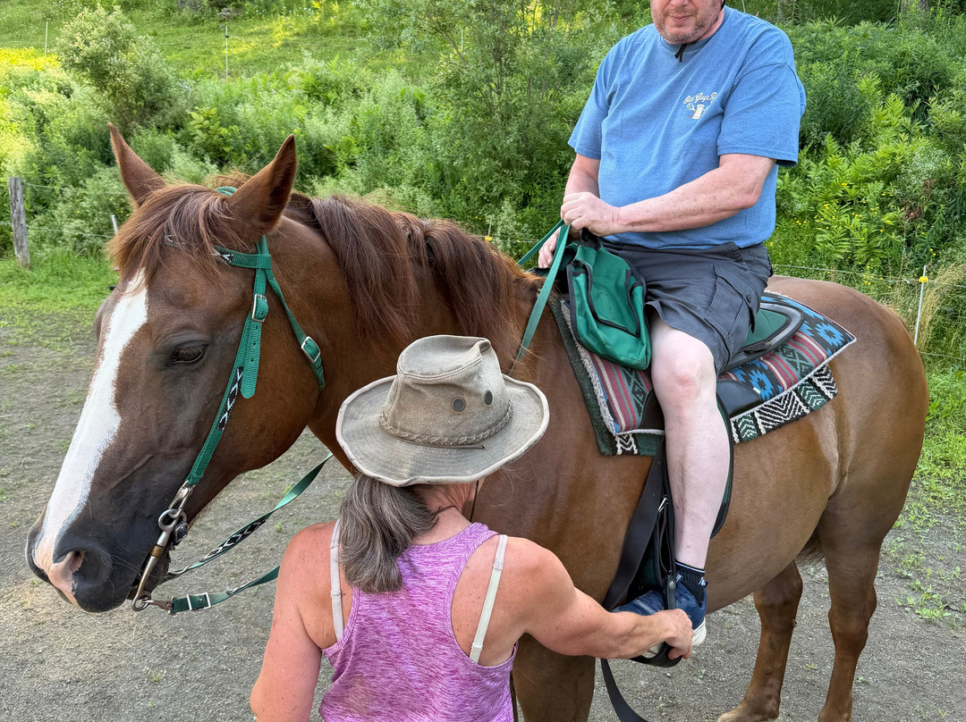 D-N-D Stables Guided Trail Rides-East Burke必去景点