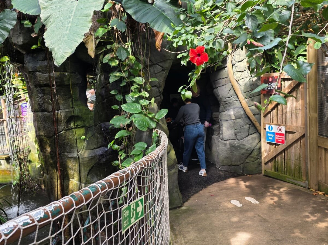 Plantasia Tropical Zoo-斯温西必去景点