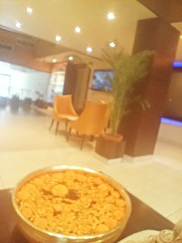 卡尔普塔领主酒店-旅行者