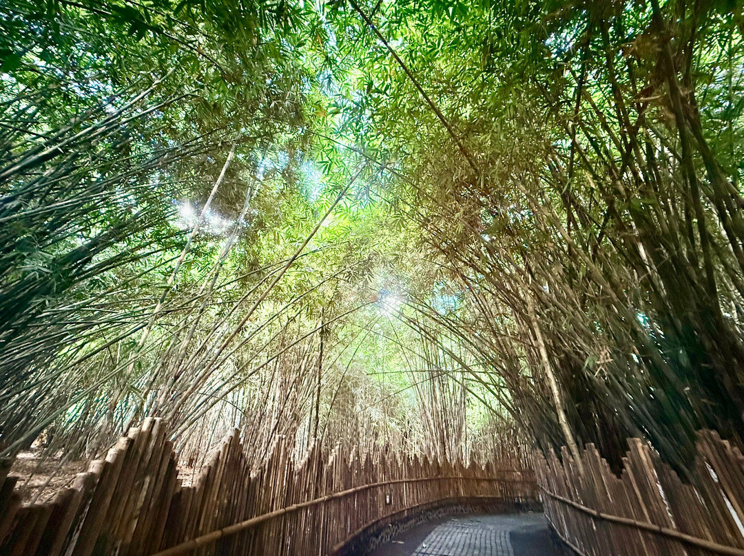 Penglipuran Bamboo Forest-Bangli必去景点