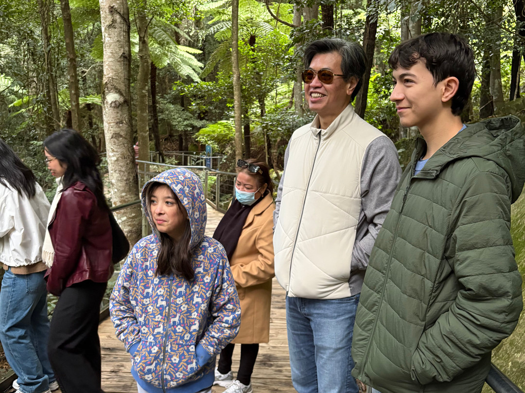 Blue Mountains Tours-格兰布鲁克必去景点