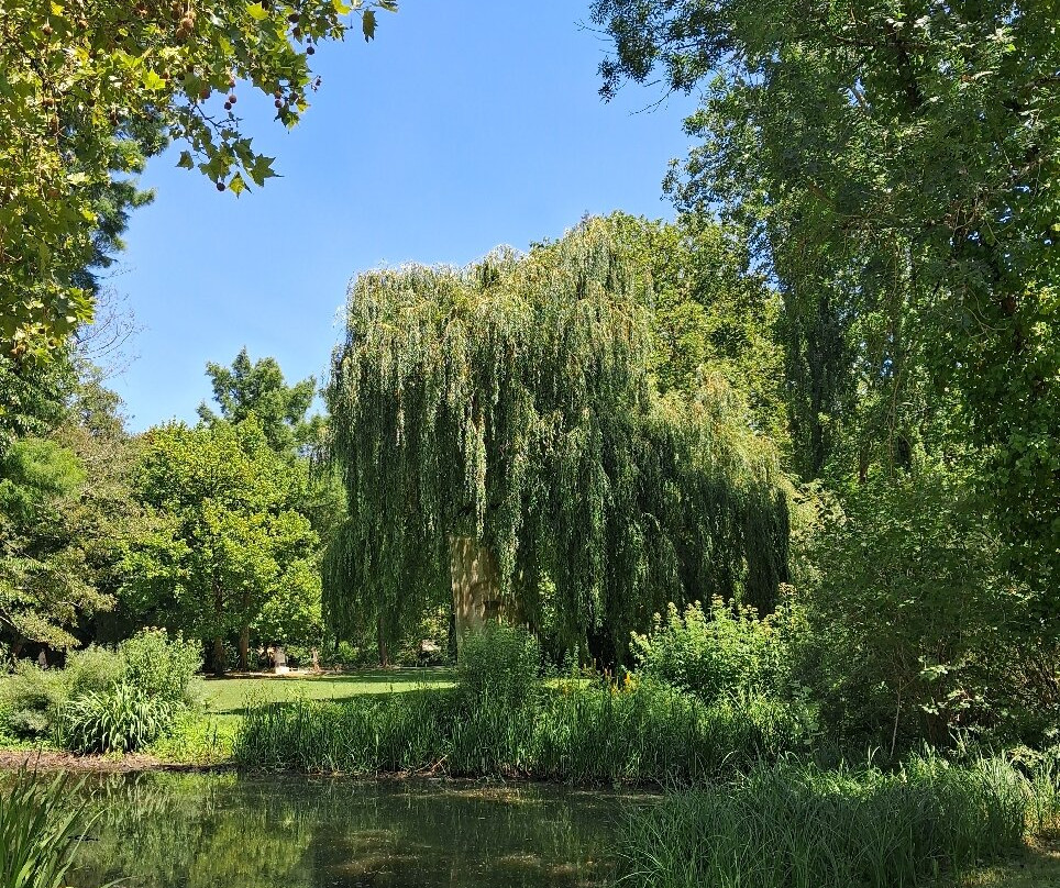 Chateau De Clos Luce-昂布瓦斯必去景点