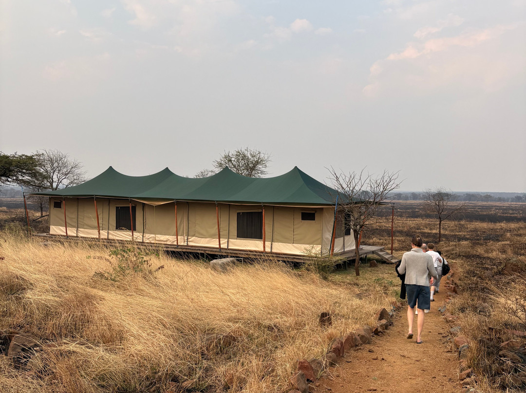 Serengeti Queens Camp-Seronera必去景点