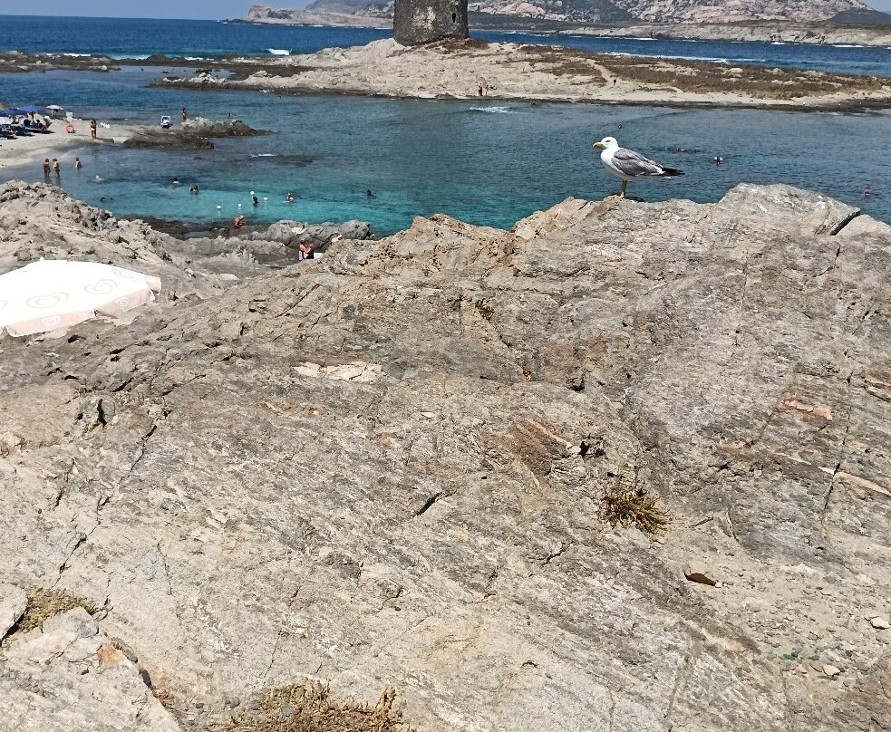 Spiaggia della Pelosetta-斯廷蒂诺必去景点
