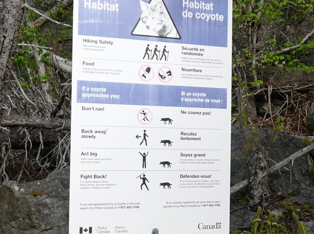 Freshwater Lake Lookoff-Cape North必去景点