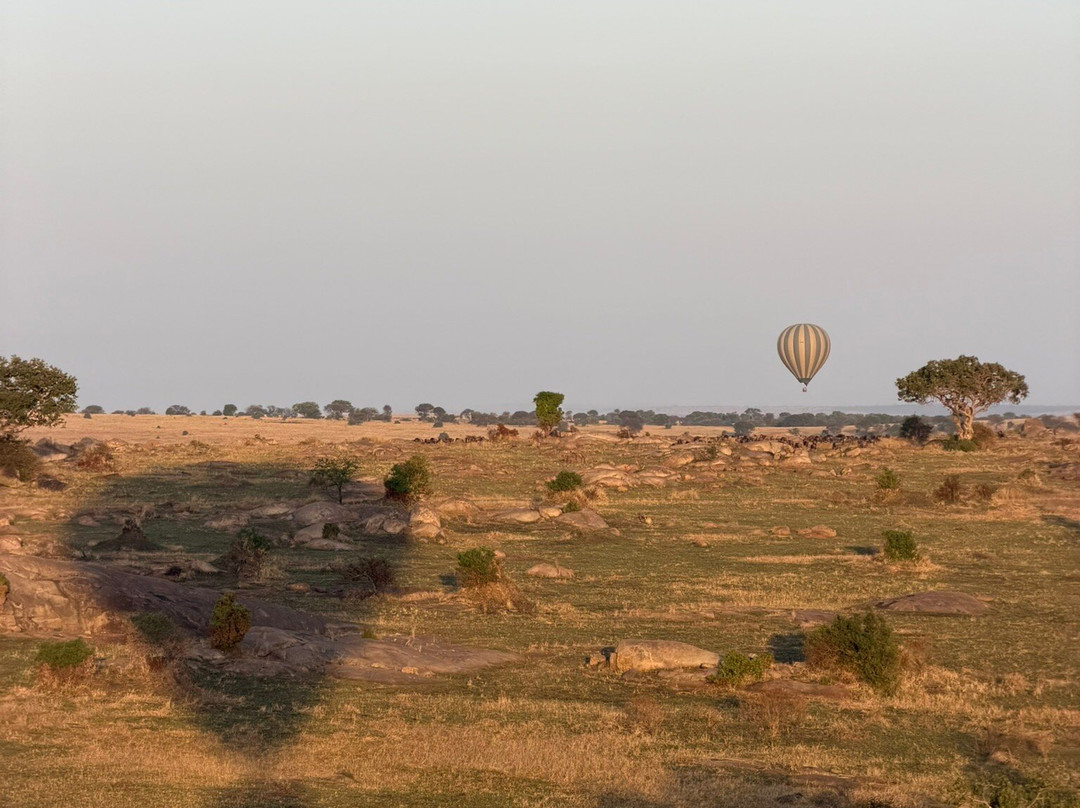 Adventures Aloft Balloon Safari Tanzania-Ikoma必去景点
