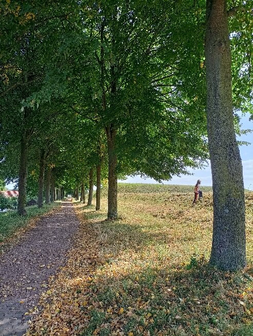Heusden Fortress-Heusden必去景点