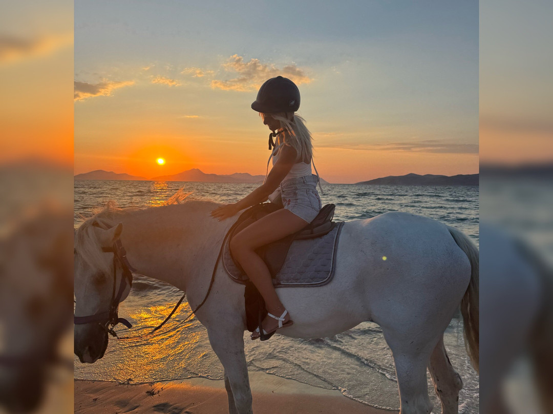 Erika's Horse Farm Kos-Marmari必去景点