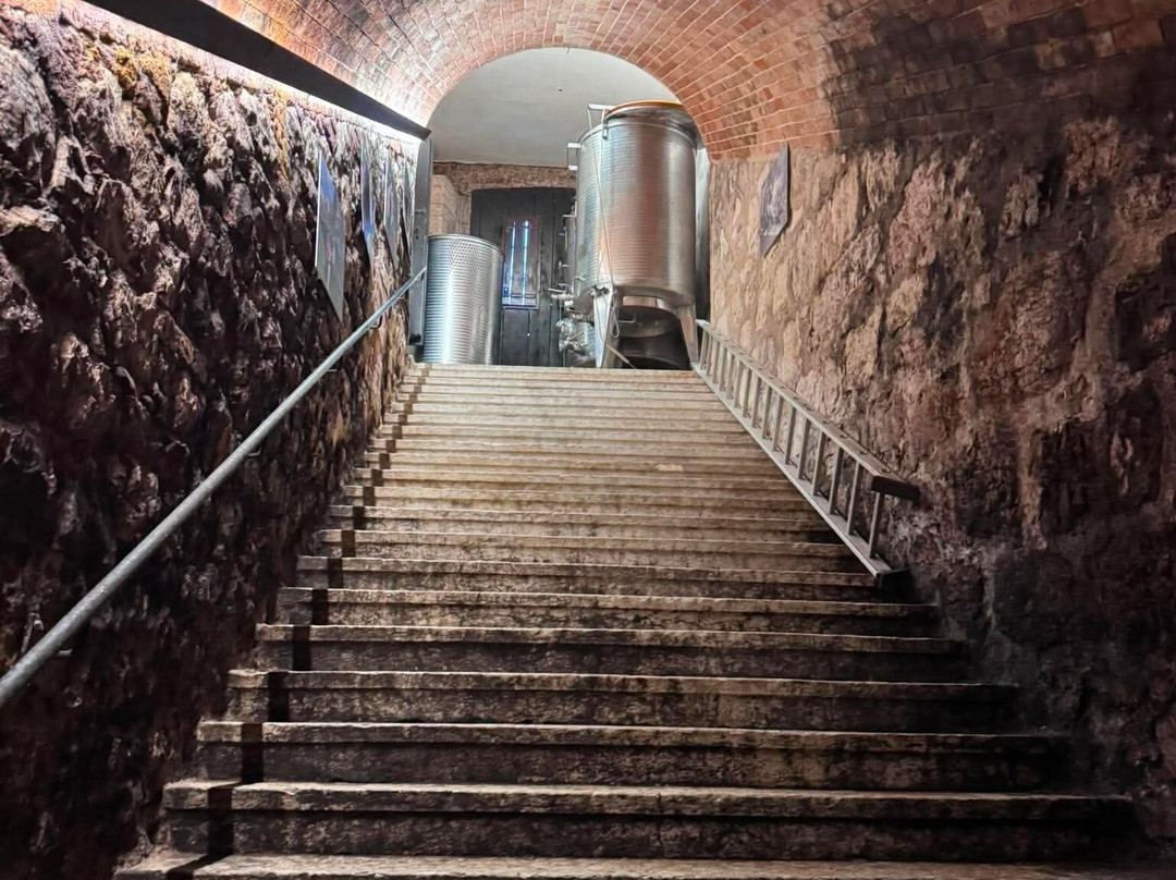 Cantina Marco Donati-Mezzocorona必去景点