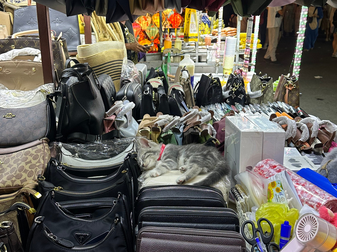 会安夜市-会安必去景点