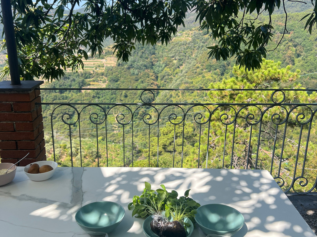 Cinque Terre Cooking School-滨海蒙特罗梭必去景点