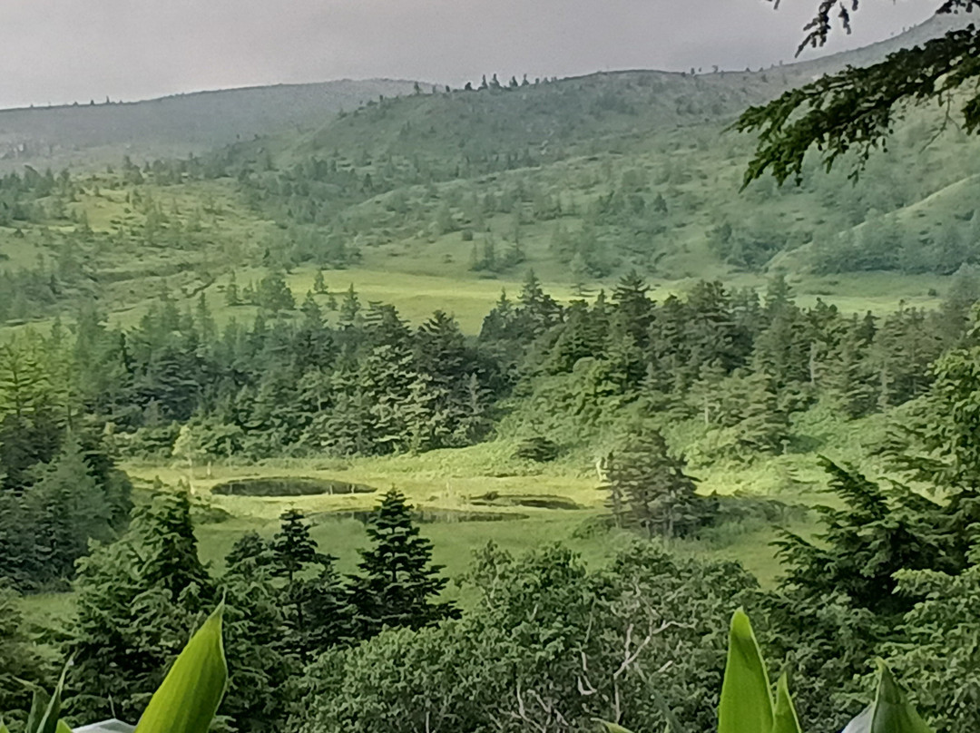Yoshigadaira Wetland