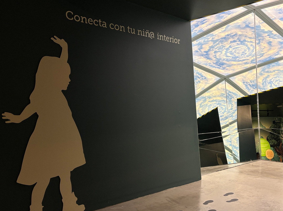 Museo Memoria y Tolerancia-墨西哥城必去景点