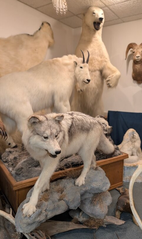 Stones 'N Bones Museum-Sarnia必去景点