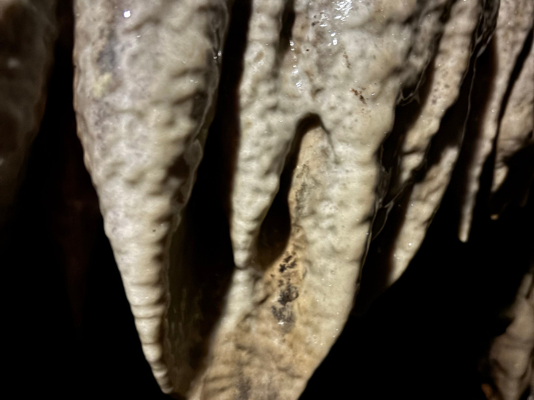 White Scar Cave-Ingleton必去景点