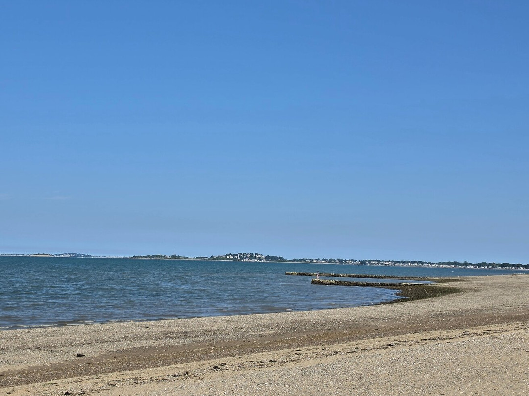 Wollaston Beach-昆西必去景点