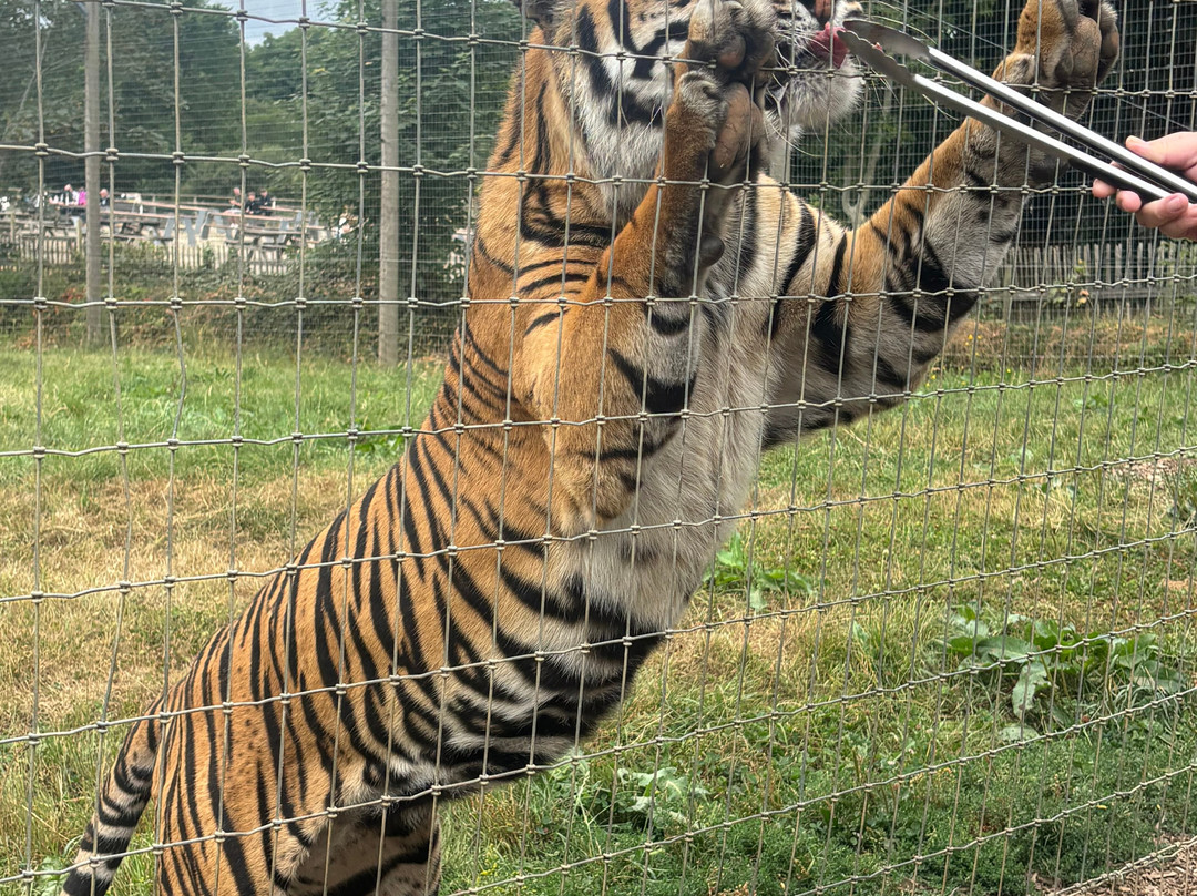 Manor Wildlife Park-St. Florence必去景点