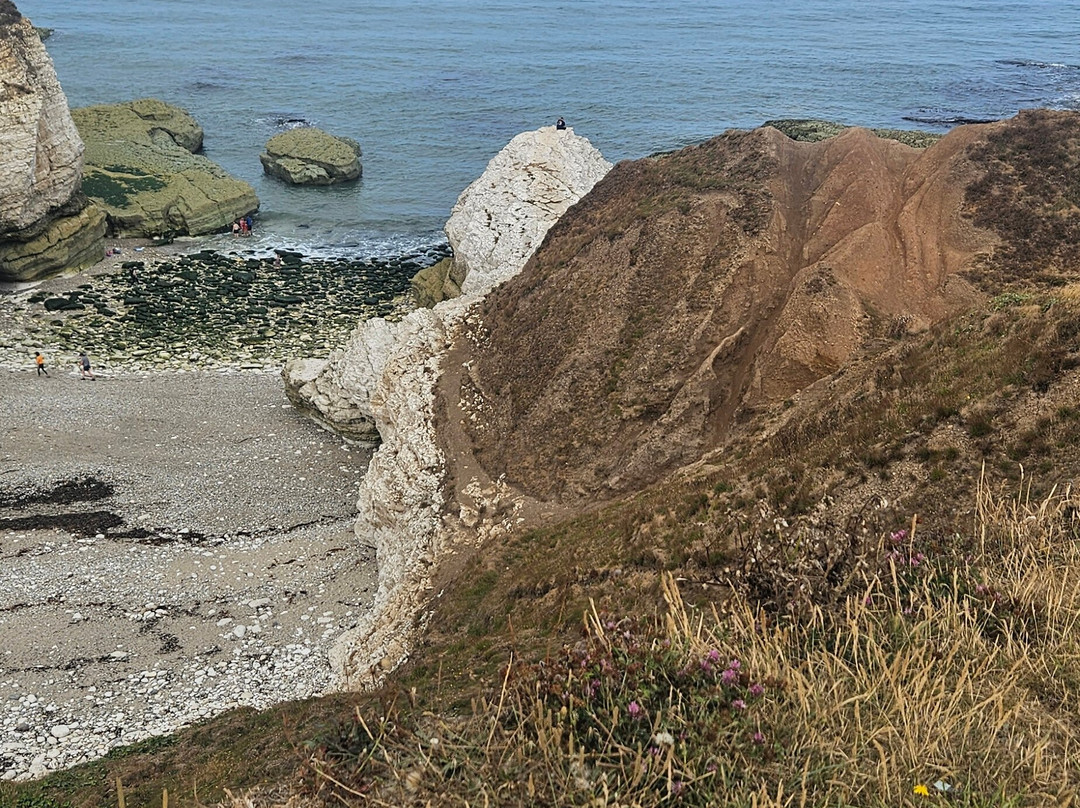 Thornwick Bay-Flamborough必去景点