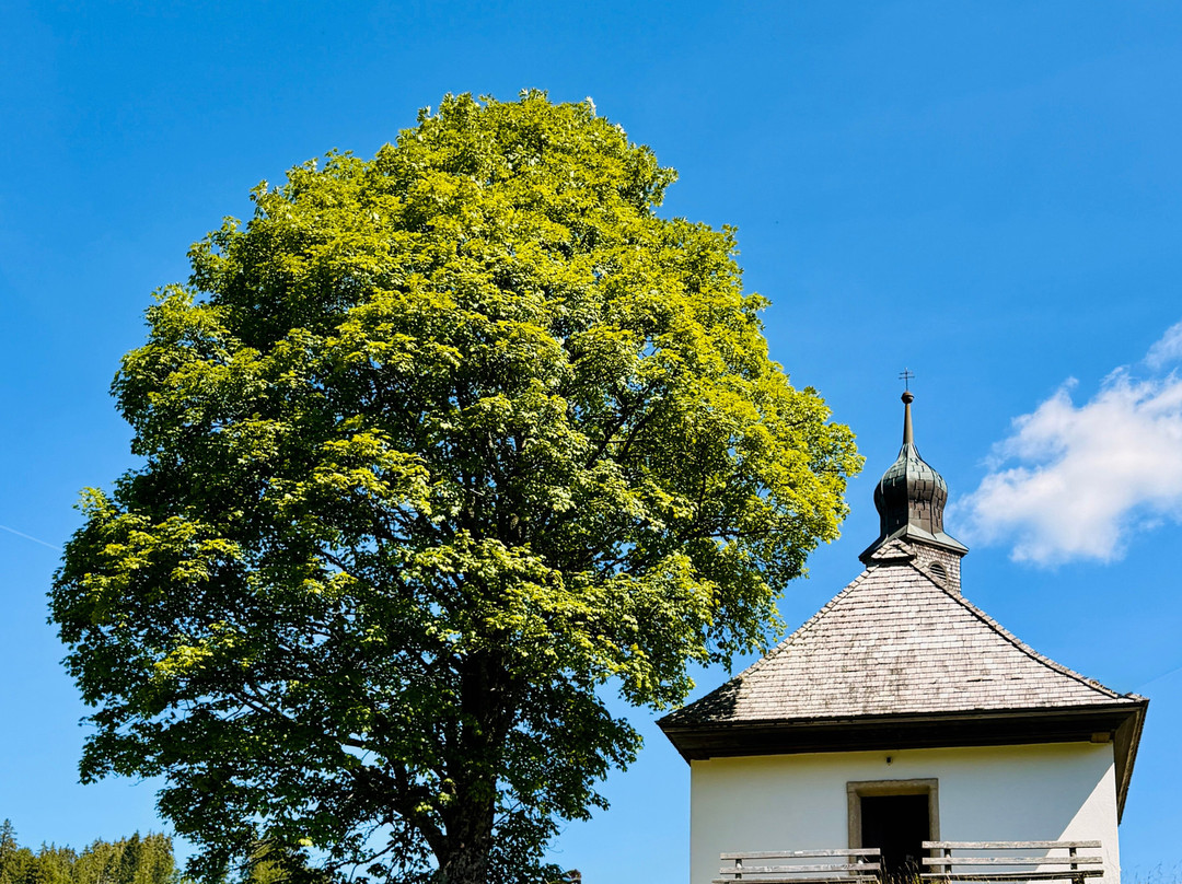 St. Josefs-Kapelle-Todtmoos必去景点