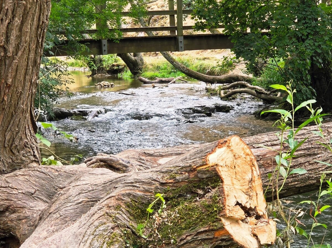 Dovedale Stepping Stones-Thorpe必去景点
