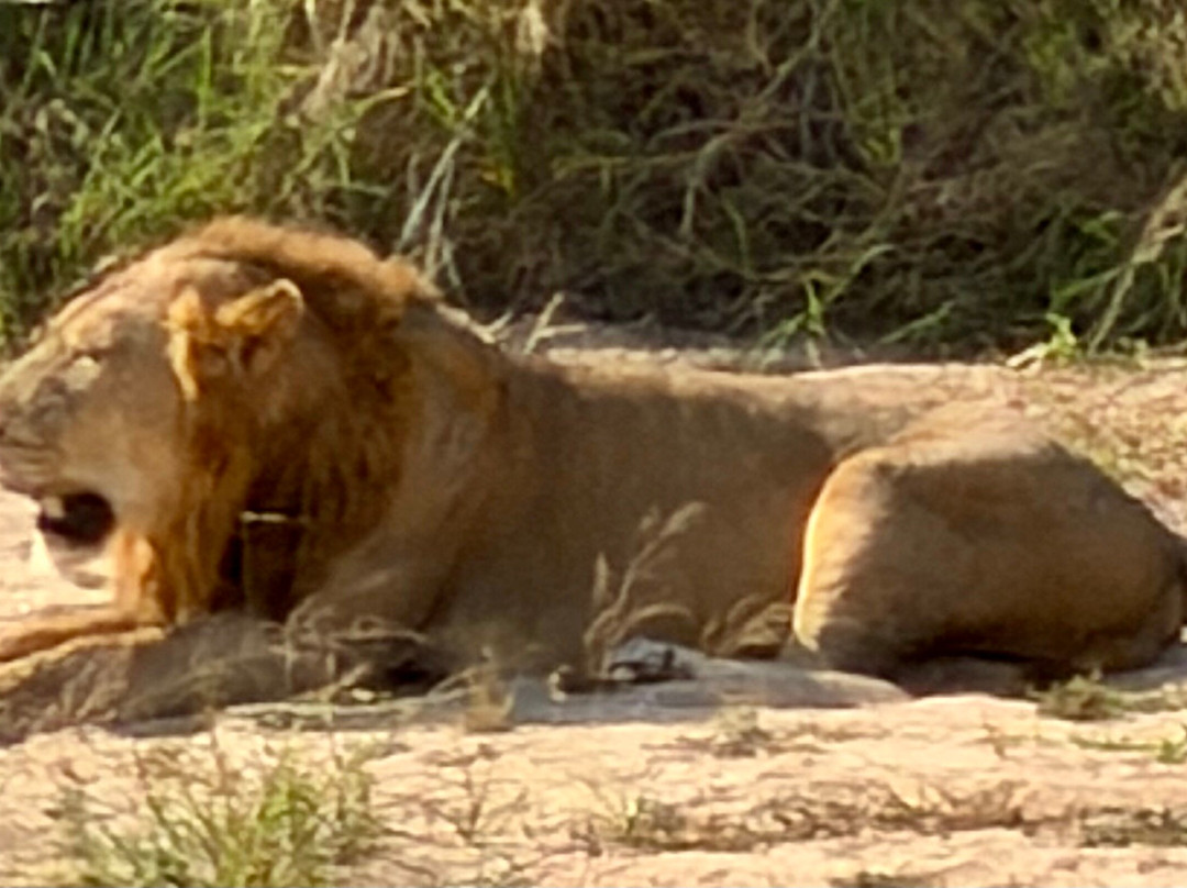 Southern Kruger Safaris-玛洛斯帕克必去景点