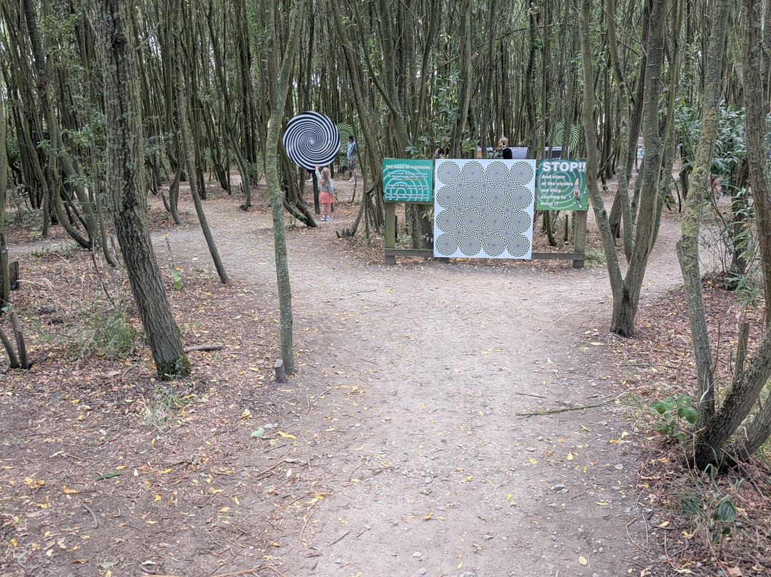约克迷宫-约克必去景点