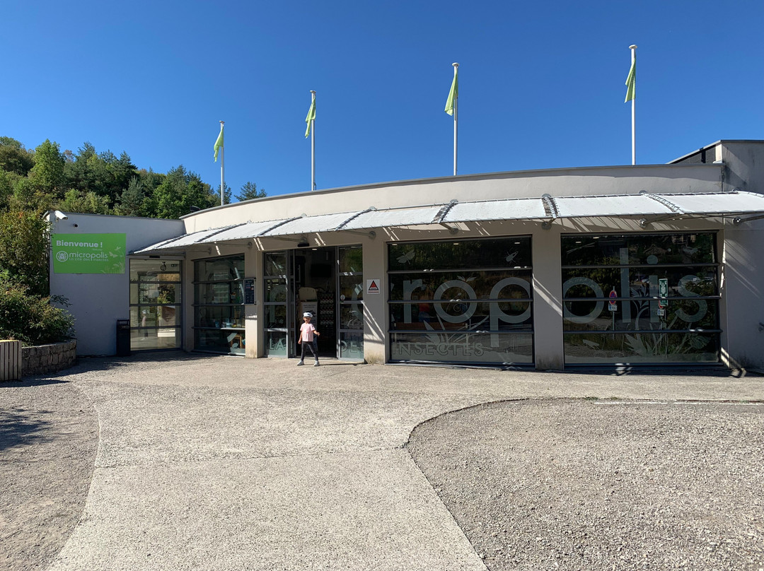 Micropolis La Cite Des Insectes-Saint-Leons必去景点
