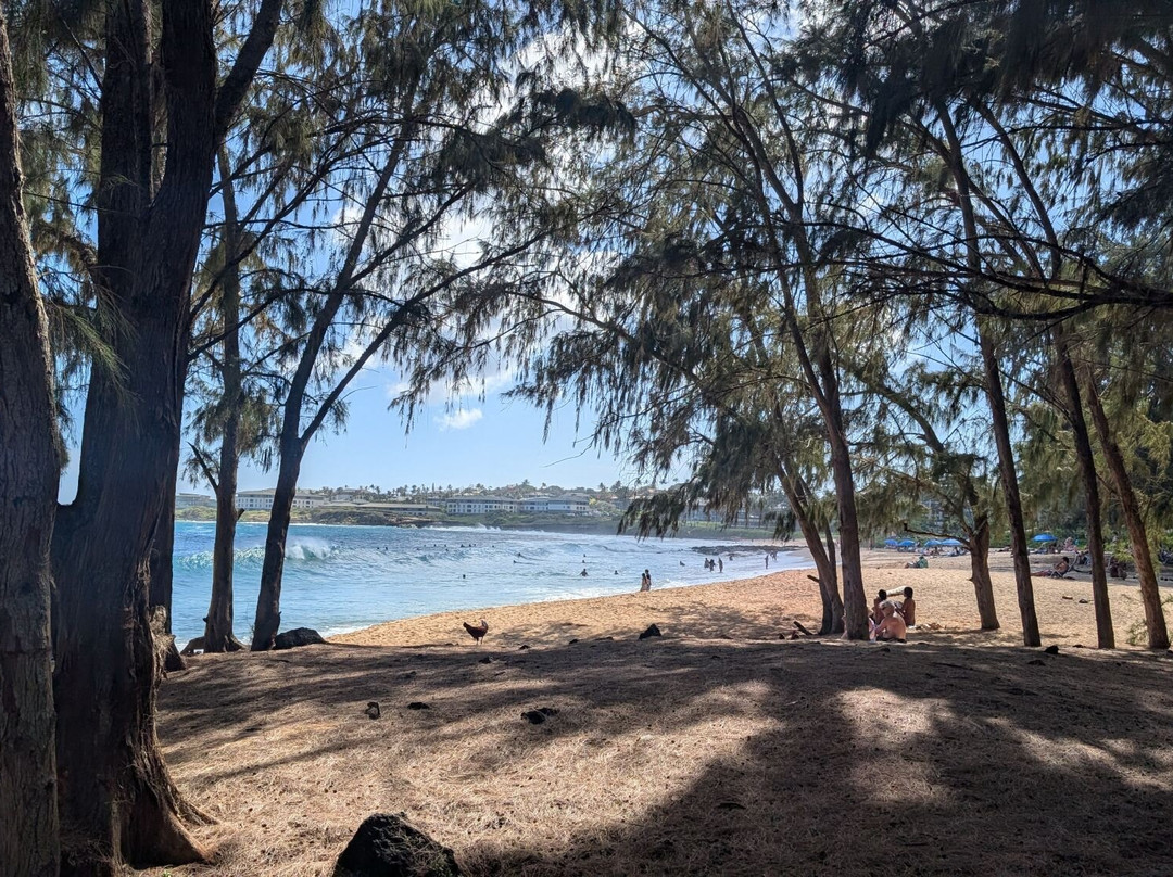 Maha'ulepu Heritage Trail-坡伊普必去景点