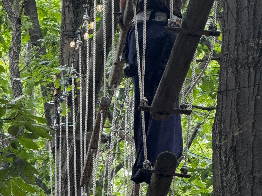 TreeRunner West Bloomfield Adventure Park-西布鲁姆菲尔德必去景点