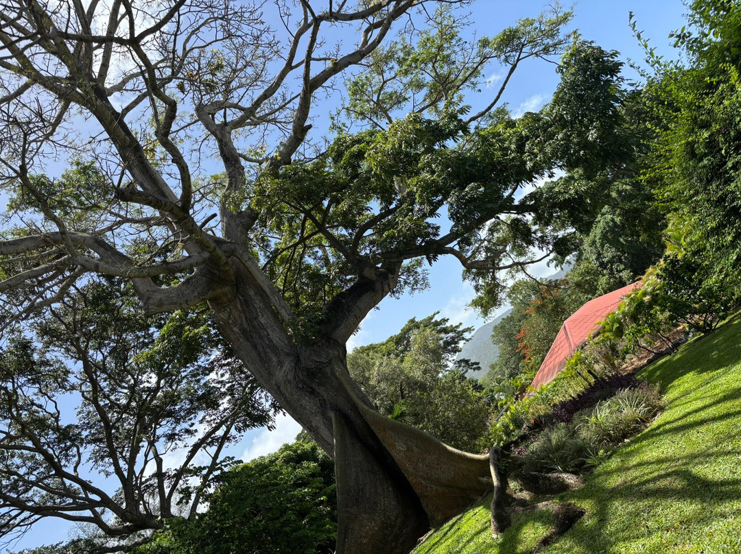 Jardin Botanique de Deshaies-Deshaies必去景点