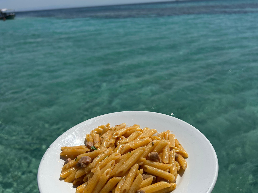 Asinara Charter Service-斯廷蒂诺必去景点