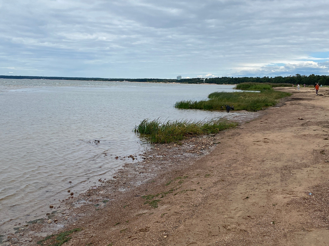 Dubkovskiy Beach-Sestroretsk必去景点