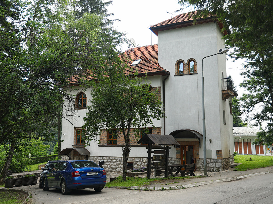 Srebrenica酒店住宿-Garni Hotel Vila Drina
