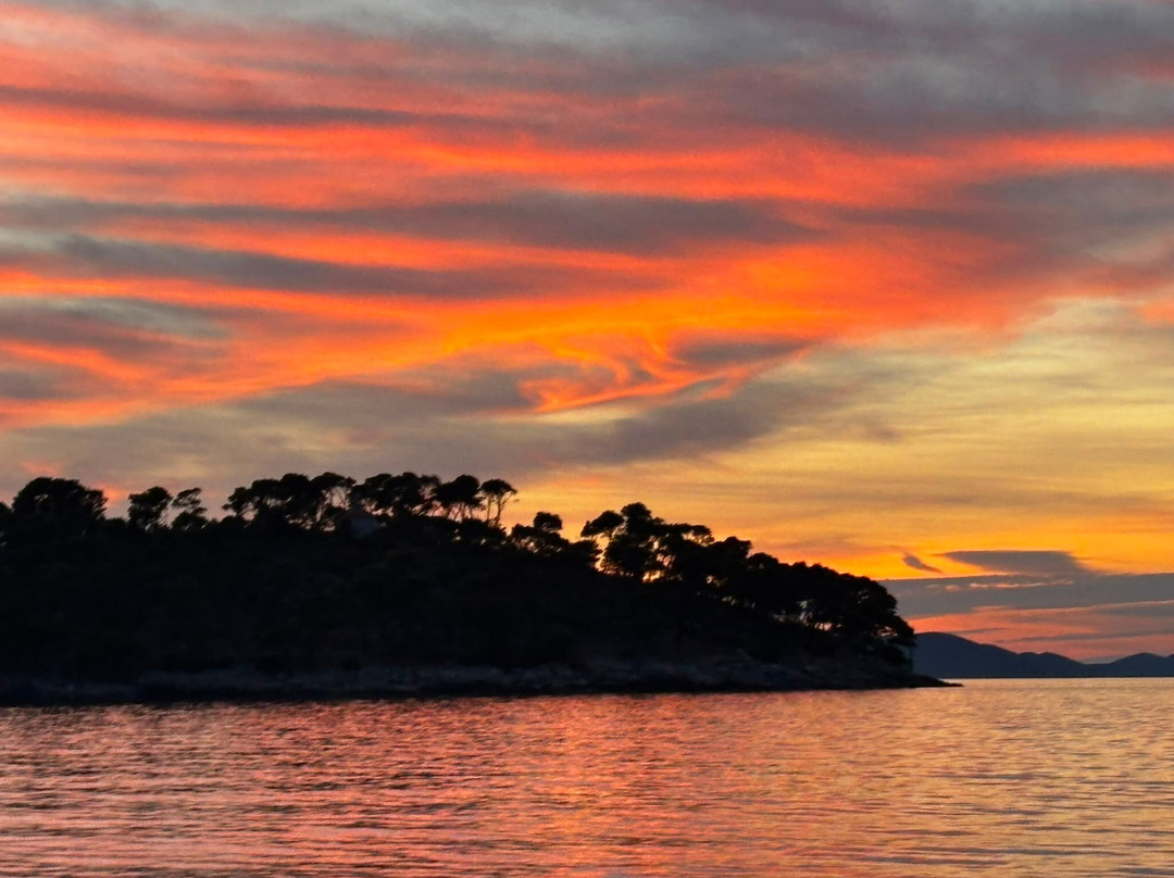 Feel Adriatic Nature Boat Tours Zadar-扎达尔必去景点