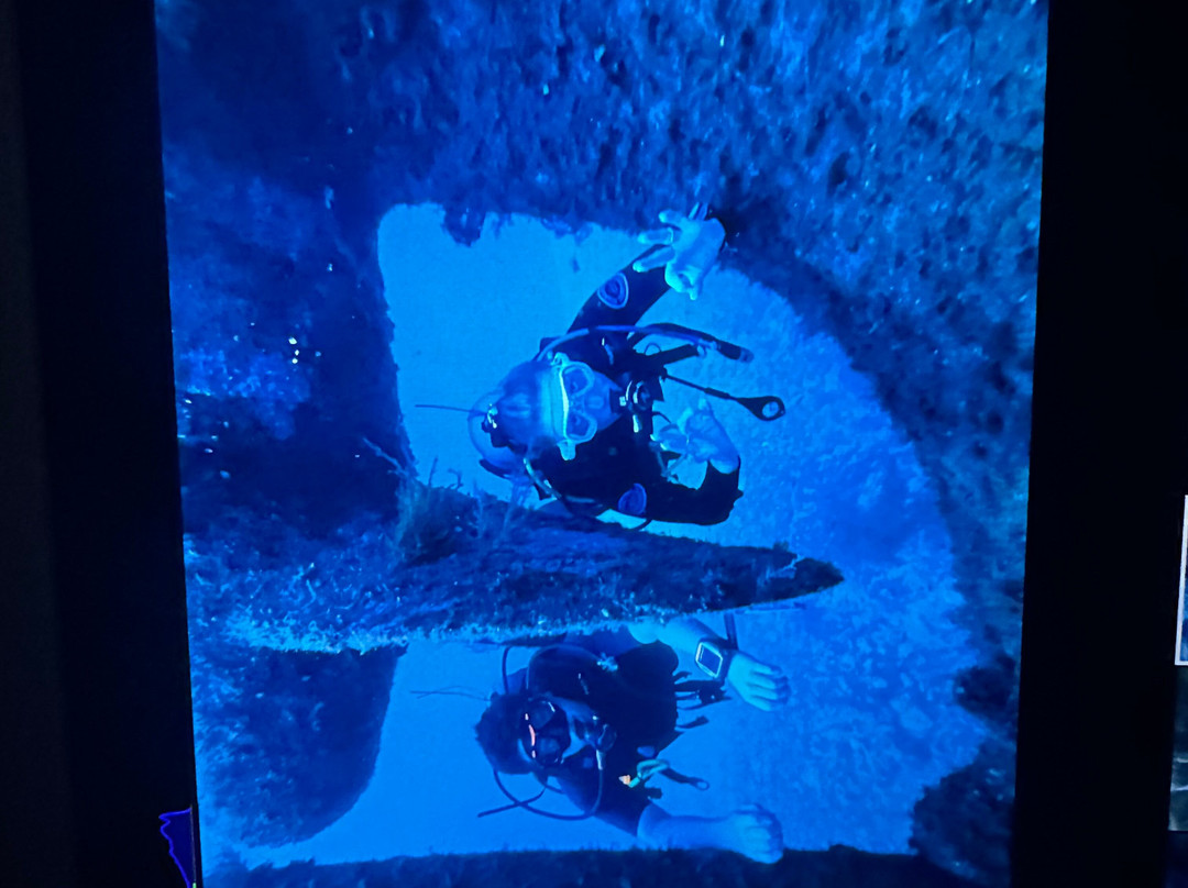 Bubbles Dive Centre-Marsalforn必去景点