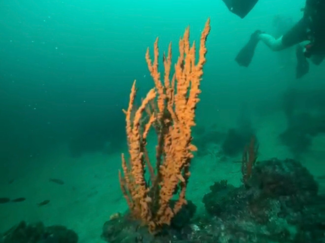 Argonauta Diving Resort-Rovies必去景点