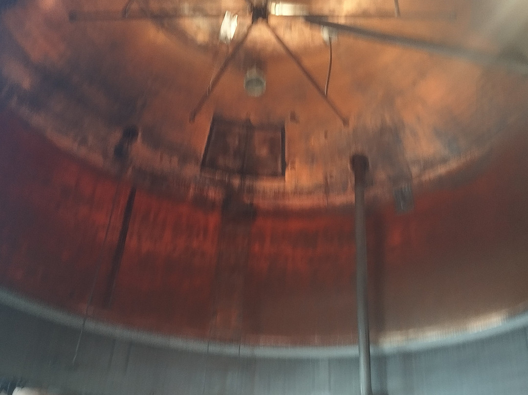 MEGA Museo Estrella Galicia-拉科鲁尼亚省必去景点