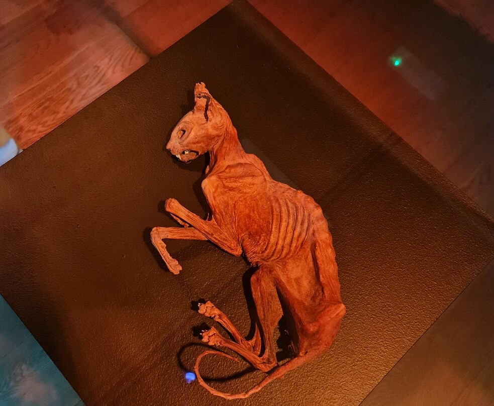 Natuurmuseum Fryslan-吕伐登必去景点