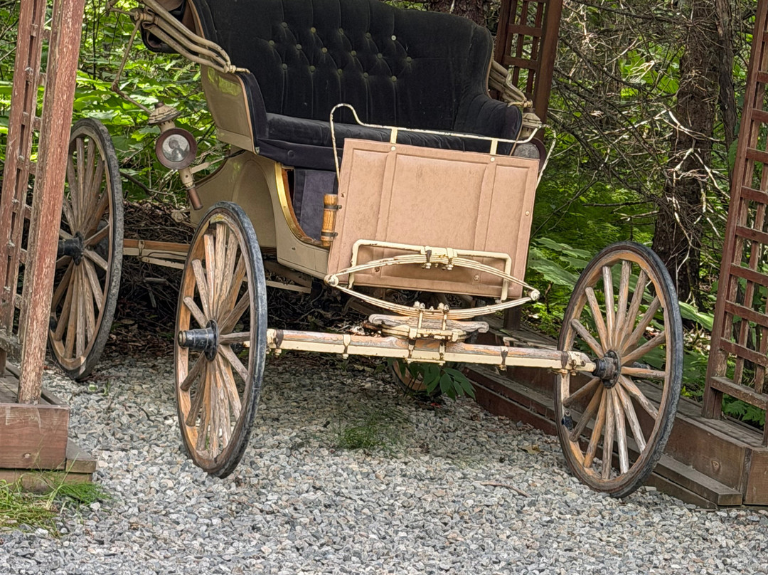 Liarsville Gold Rush Trail Camp-史凯威必去景点