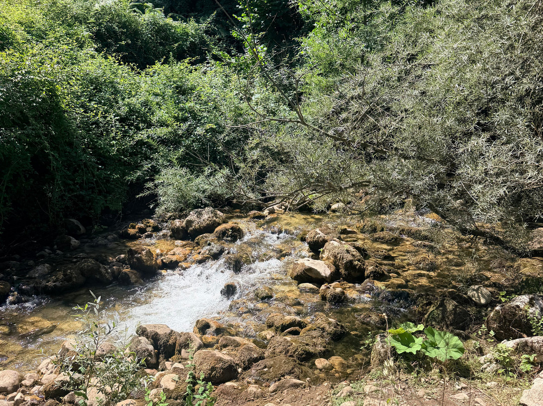Fattoria Rosabella-Montella必去景点