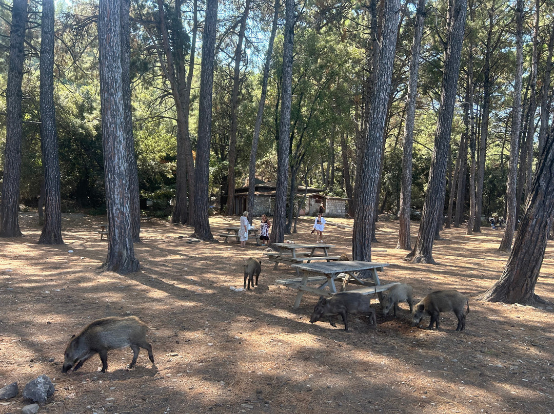 Dilek National Park-Guzelcamli必去景点